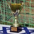 גביע המדינה:הבמה של הליגות הנמוכות