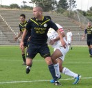 זנבות לאריות