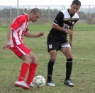 שתי עקיצות של דבור(יה)