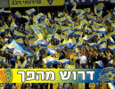מחאת הכרטיסים – OUT, מחאת הארגונים - IN