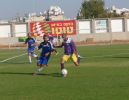 חיים יסדר