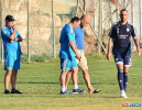 טויטו: 