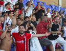 טולמסוב: 