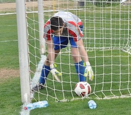 הופמן מוציא עוד כדור מהרשת