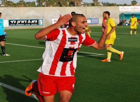 לוגסי. תוספת כוח משמעותית (צילום: יח