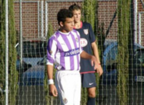 שב מספרד. זיתון במדי ויאדוליד (אתר וולה)