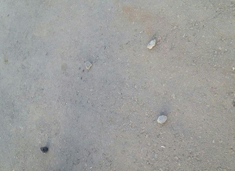 האבנים שהושלכו ע