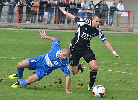 אבי מלכה, נשאר בגלבוע (צילום: ארנון לוי)