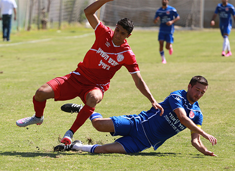 חזרנו למגרשים! (עדי מלול)