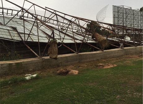 הנזק במגרש באולגה