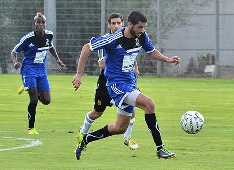 מלול. חזר הביתה (ארנון לוי)