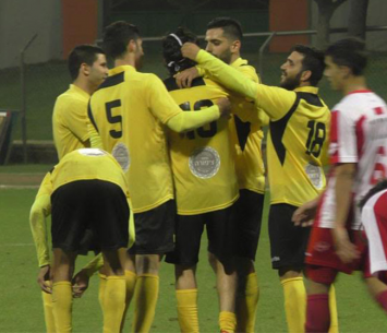 הצהובים שחורים חוגגים (שקד מורג)