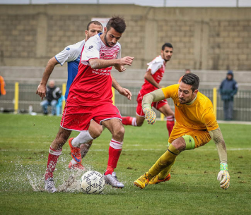 השלוליות עבדו לטובת מעלות (וואסים מוואסי)