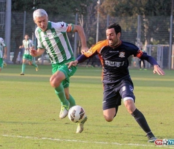 מגמדוב (לירן דורף)