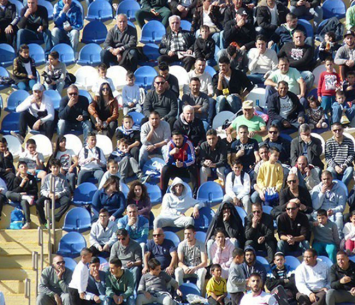 חגיגה ביציעים. אוהדי דימונה (אלי שמואלי)