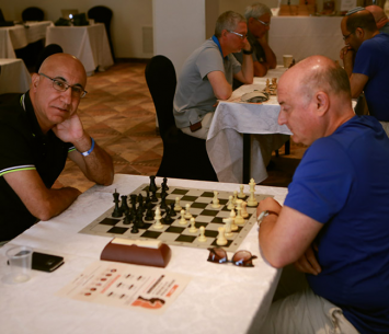 ענף השחמט (עדי מלול)