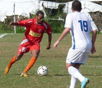 אילן טפרה בני יצ'אלאל