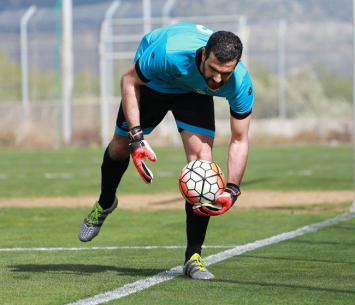 עומרי אלון (עדי מלול)