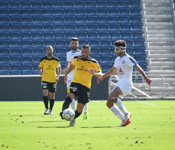 מיקי רנדי (ינון פוקס)