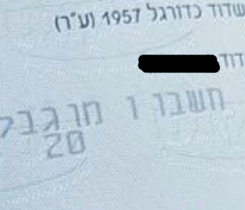 ההמחאה שחזרה