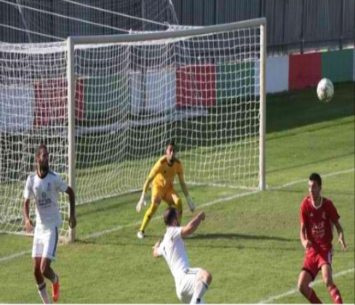 שאדי במדי בועיינה (באדיבות אתר אלביאדר)