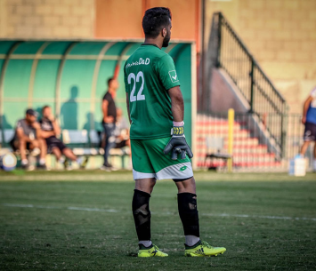 שוערה של נשר בעת המעשה (וואסים מוואסי)