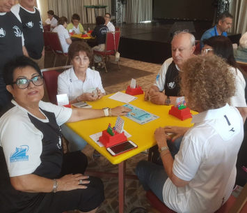 ענף הברידג'