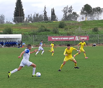 לא הצליחו לכבוש.)ארגון הלב הצהוב(