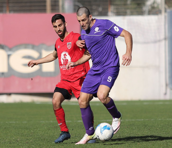 גורמזנו ואדלשטיין (payperlens)