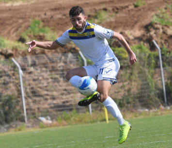 תורג'מן (ולאדי מוייסייב)