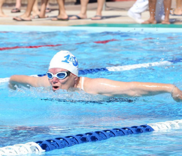 שטיינברג בפעולה (עדי מלול)