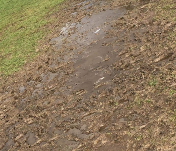 נראה רע. מגרש באתא (צילום: דוניא גנטוס)