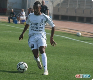 רכש נוסף. איילה