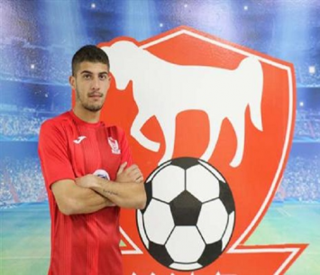 חיזוק אדיר. ארמלי