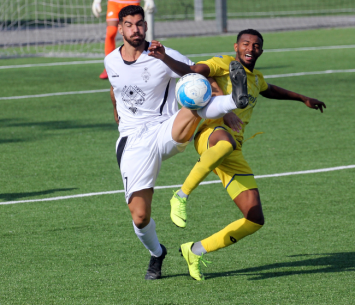 אמבאו ואלברמן במאבק (לירן דורף)ה