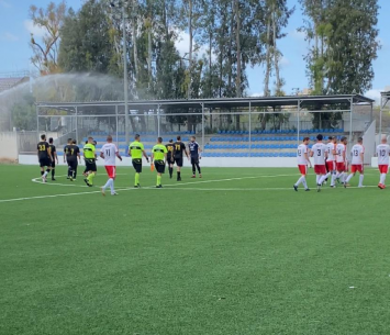 השקמה נגד המכתש (באדיבות המכתש)