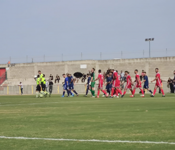 שחקני ערערה ופרדיס (וואסים מוואסי)