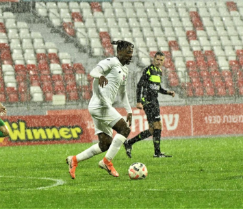 רכש נוצץ. זריהון (צילום: פרטי)