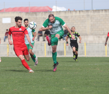 חלוקת נקודות (וואסים מוואסי)