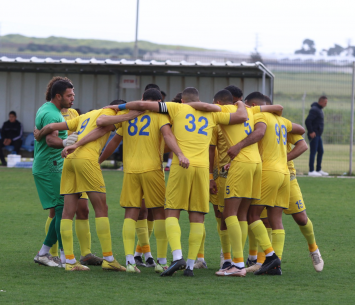 שחקני טמרה (דאפר מחמיד)