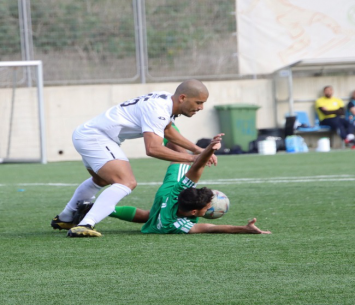 עוד עונה בדימונה. אבי מלכה (בן מלניק)