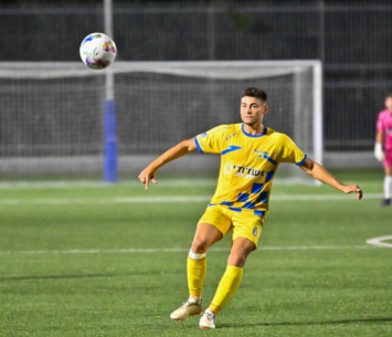 מכלוף בפעולה (ירון קליין)