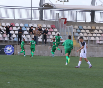 החגיגה של נצרת (דאפר מחאמיד)