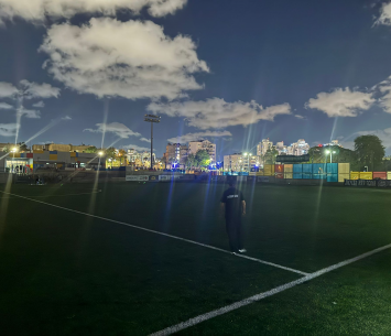 חושך במגרש (קובי פורטל)