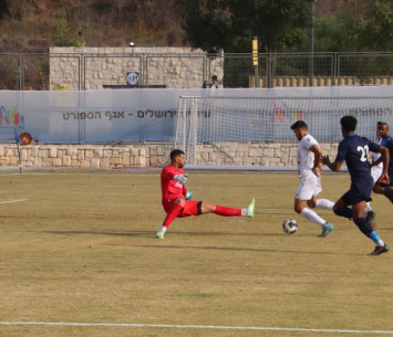 השער של מתן שוורץ (גלעד אימס)