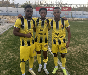 אסנקה,פיטיגו וקאאני 