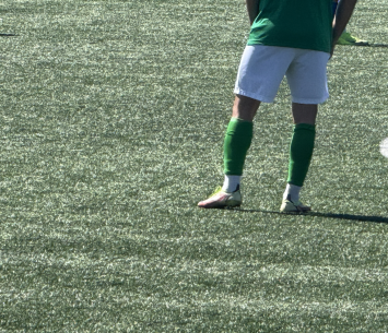 פארסה בשדרות