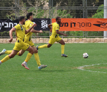 מחצית משובחת. שחקני נורדיה (גלעד אימס)