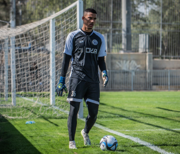 בכושר נהדר. נבון (יגאל מוסקוביץ')