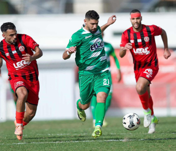 כבש צמד. מוואסי (אמיר חשיבון)